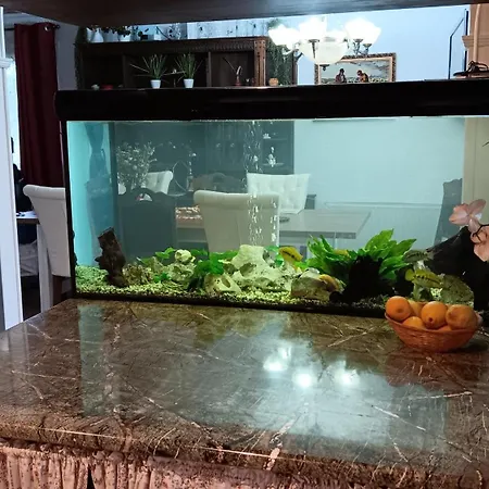 Hisa Piber Prázdninový dům *